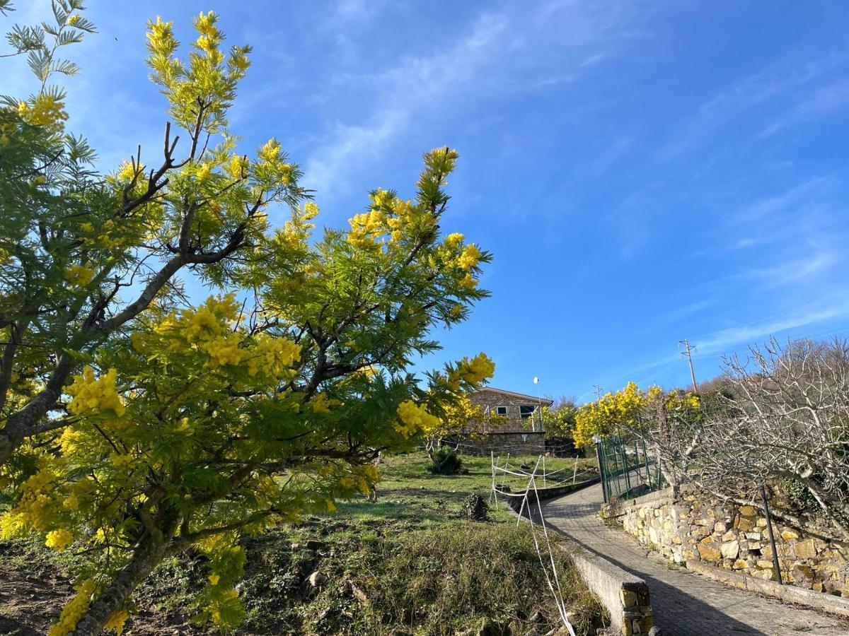 Agriturismo Le Mimose Imperia Luaran gambar