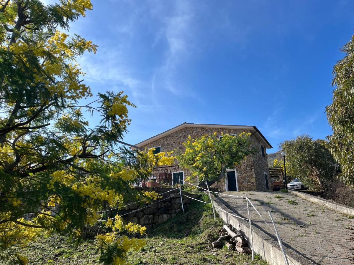 Agriturismo Le Mimose Imperia Luaran gambar