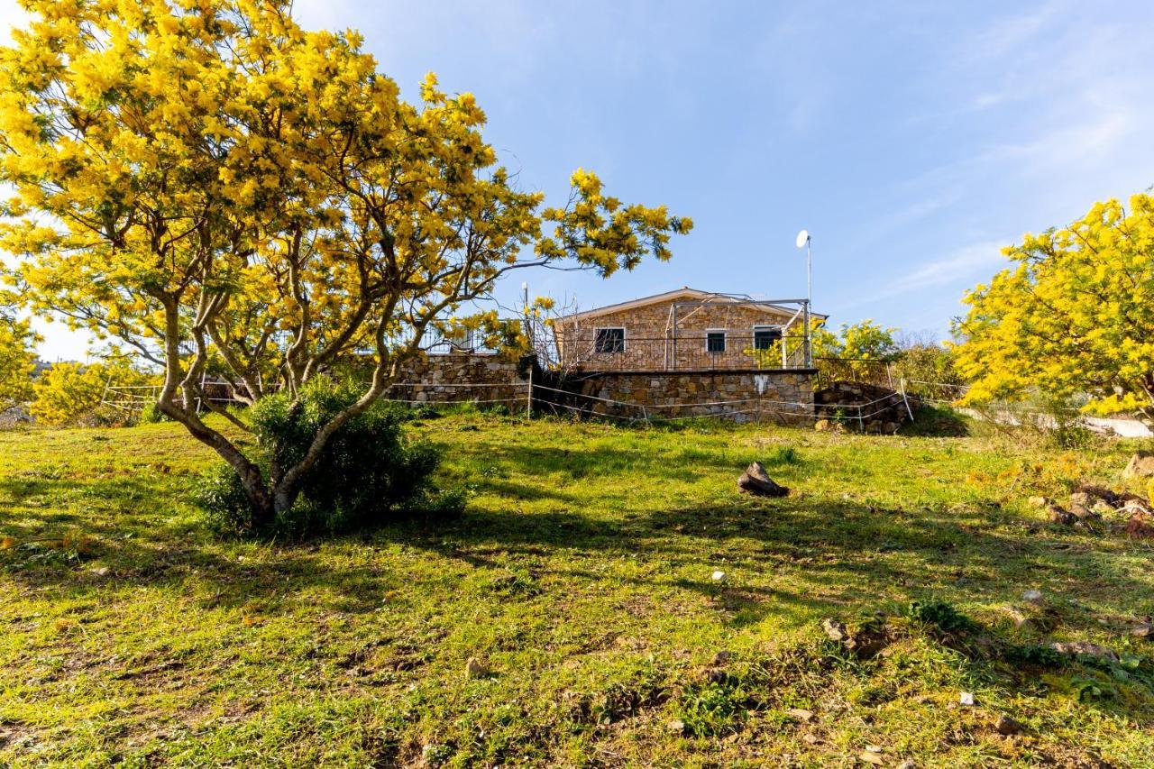 Agriturismo Le Mimose Imperia Luaran gambar